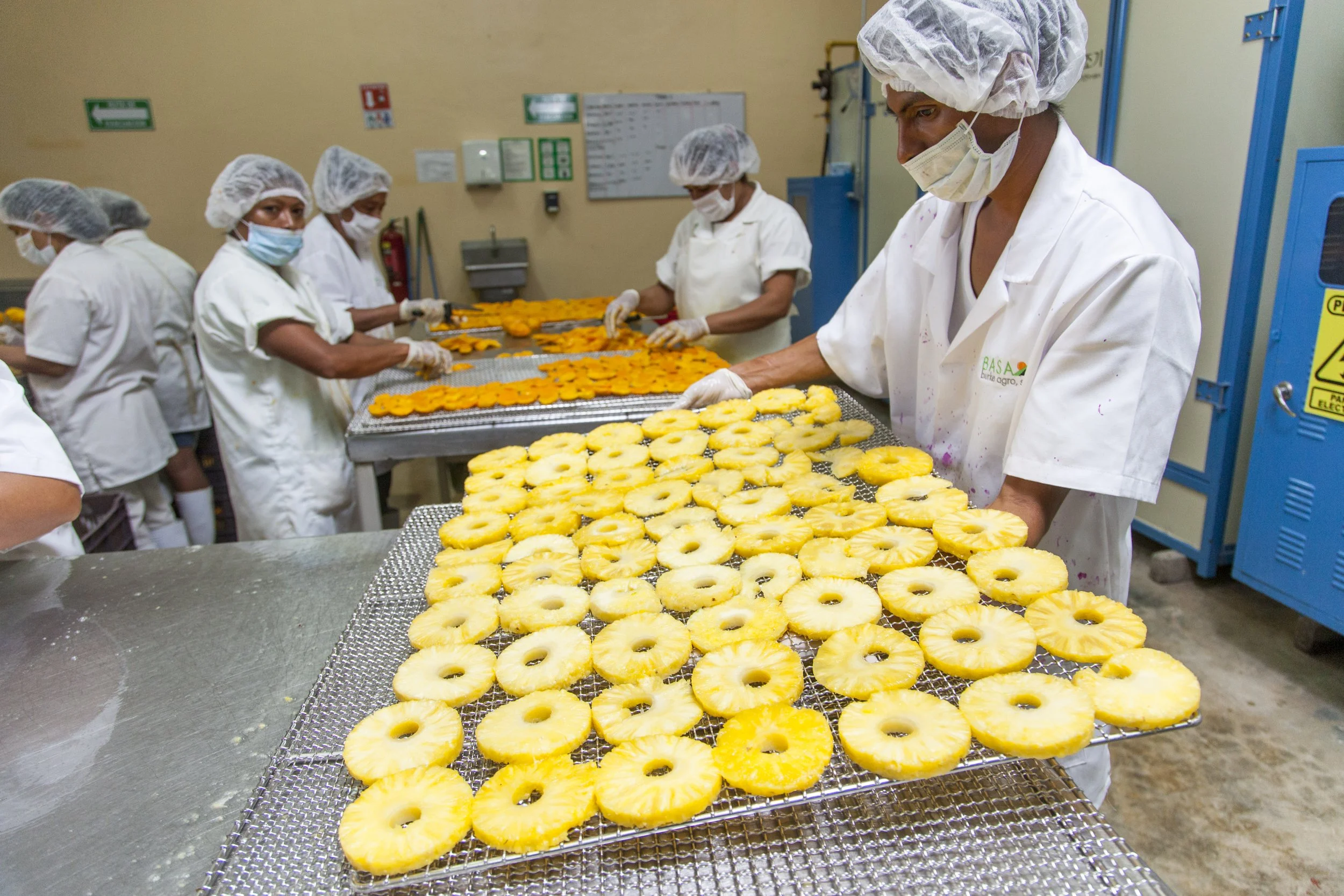 Workers preparing pineapple rings